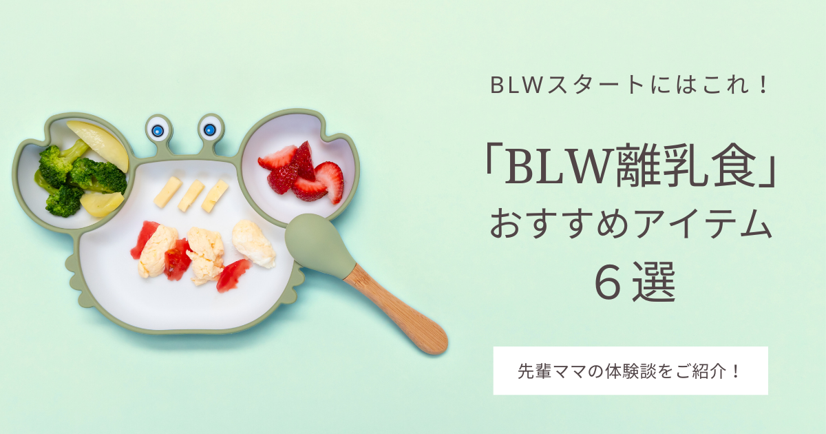 3 BLW離乳食に必要なものは？（すり鉢・ブレンダー・お皿はどれを選ぶ？）